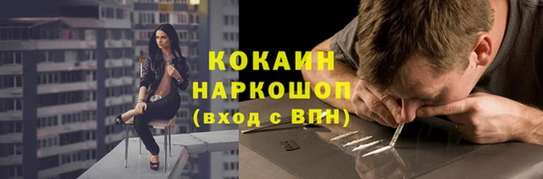 молекула духа Бородино