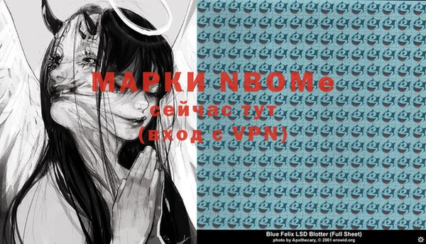 молекула духа Бородино