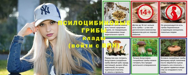 бошки Бронницы