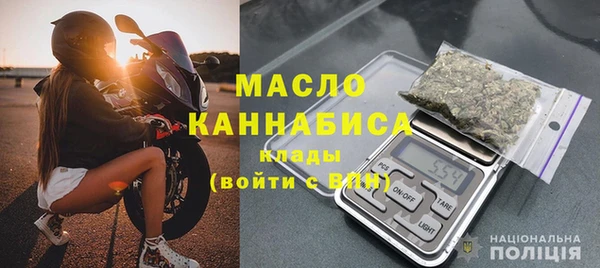 молекула духа Бородино
