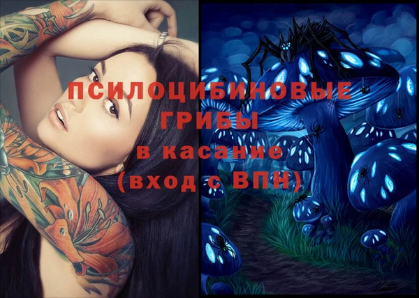 молекула духа Бородино