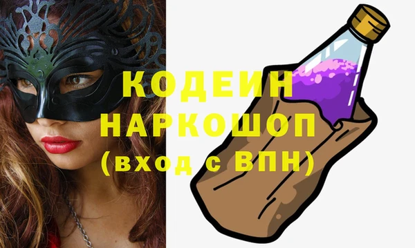 молекула духа Бородино
