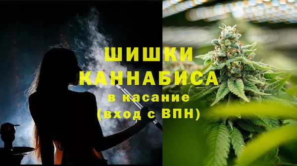 дживик Богородицк