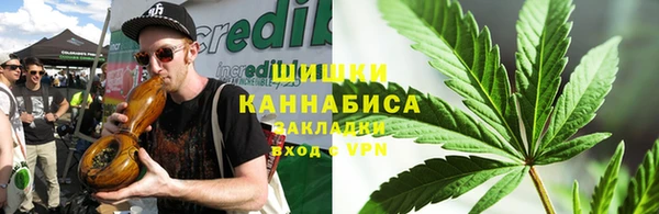 бошки Бронницы