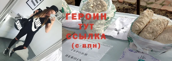 молекула духа Бородино