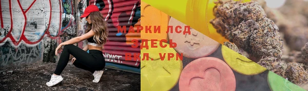дживик Богородицк