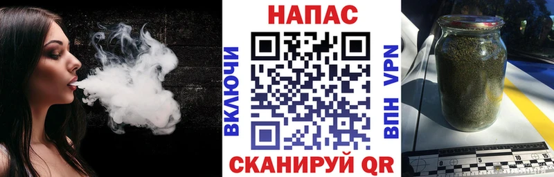 Каннабис планчик  Ворсма 